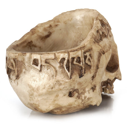 Skull Succulent Planter – Gothic Resin Flower Pot for Halloween Decor