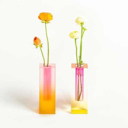 Square Acrylic Bubble Vase – Minimalist Nordic Shelf & Table Decor