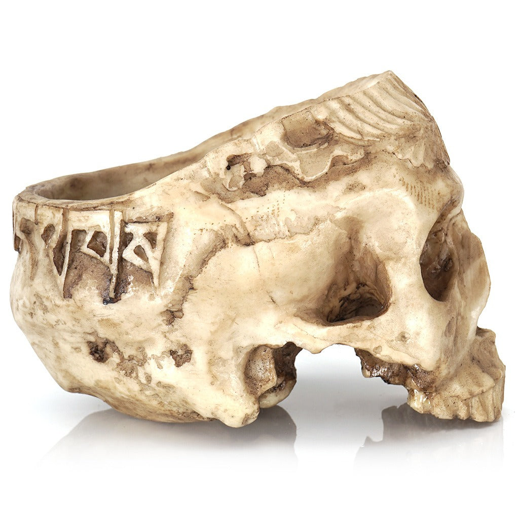 Skull Succulent Planter – Gothic Resin Flower Pot for Halloween Decor