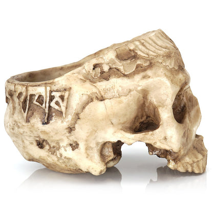 Skull Succulent Planter – Gothic Resin Flower Pot for Halloween Decor