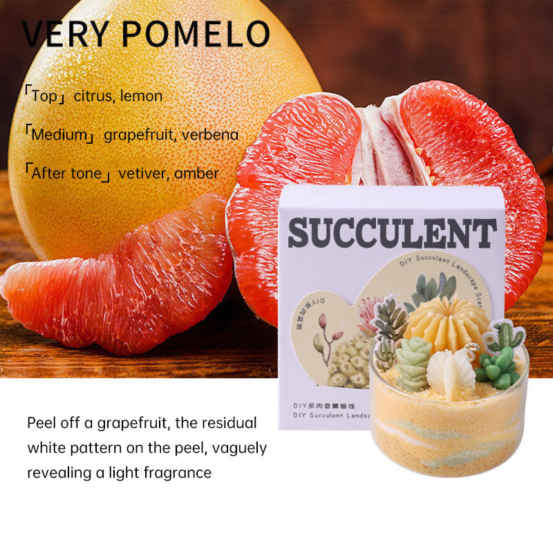 DIY Succulent Scented Candle Kit – Handmade Cactus Sand Art Gift Set