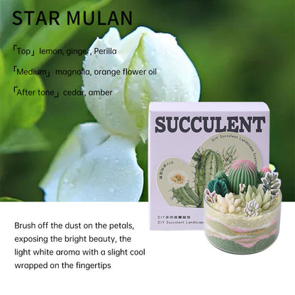 DIY Succulent Scented Candle Kit – Handmade Cactus Sand Art Gift Set