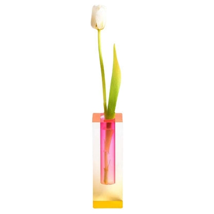 Square Acrylic Bubble Vase – Minimalist Nordic Shelf & Table Decor