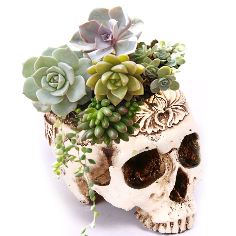 Skull Succulent Planter – Gothic Resin Flower Pot for Halloween Decor
